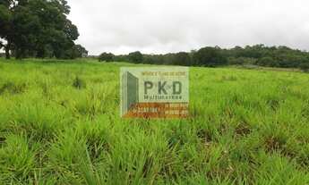 Imagem 6: FAZENDA RURAL em ACORIZAL - MT, ACORIZAL