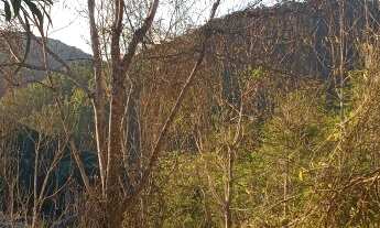 Imagem 7: Chácara em Parajú Domingos Martins