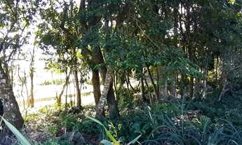 Imagem 7: FLORIANóPOLIS - Terreno Padrão - MORRO DA CRUZ