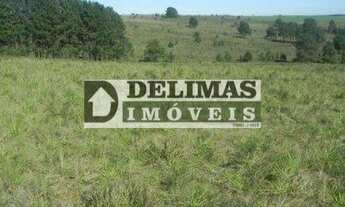 Imagem: Área Rural Fazenda para venda em Balsa