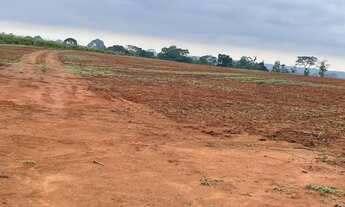 Imagem 2: Fazenda para ARREDAMENTO no Mato Grosso!