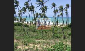 Imagem 5: TERRENO COMERCIAL em CANGUARETAMA - RN, BARRA DE CUNHAÚ