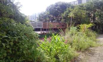 Imagem 5: Terreno Plano murado próprio para construção de prédio ou casas - Freguesia