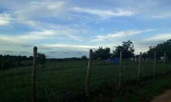 Imagem 4: Fazenda com 50 hectares estruturada na região de Monte Alegre