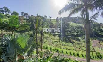 Imagem 5: Fazenda/Sítio/Chácara, Lindo Sítio a venda no Distrito de São Salvador, com 22,71 alqueire