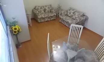 Imagem 2: Lindo Apartamento