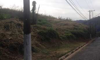 Imagem 6: Loteamento-São Paulo-HORTO