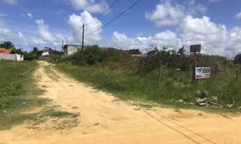 Imagem 4: Lote/Terreno para venda no Loteamento Praia dos Coqueiros - Frente Leste