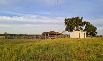 Imagem 2: Fazenda em Goianesia