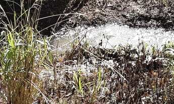 Imagem 4: Chácara -> Vende-se