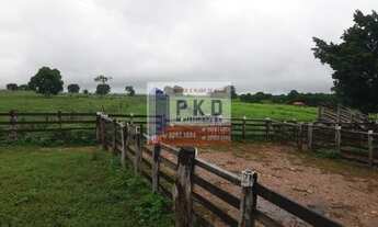 Imagem 7: FAZENDA RURAL em ACORIZAL - MT, ACORIZAL