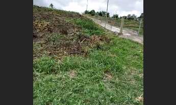 Imagem: Chácara de 5.000 m2