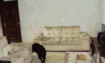 Imagem: São Paulo - Casa Padrão - São Lucas