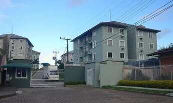 Imagem 2: APARTAMENTO no SAGUAÇÚ com 3 quartos para LOCAÇÃO, 60 m²