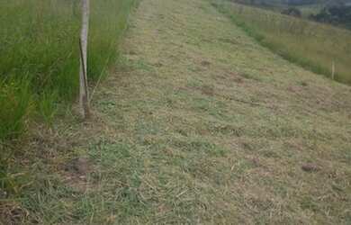 Imagem 3: Lotes de 600m² Terreno / lote com venda por R$45.000