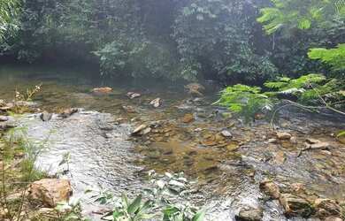 Imagem 2: Fazenda Parcelada