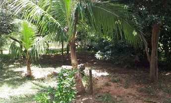 Imagem 5: Chácara 4,5 hectares