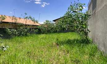 Imagem 3: Terreno plano e murado de 250m2