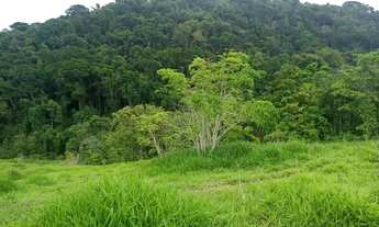 Imagem 2: FAZENDA RURAL em AREIAS - SP, CENTRO