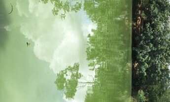 Imagem 4: Fazenda/Sítio/Chácara com 15.000 mt2 para venda tem 250 mt2 de Casa com 4 quartos