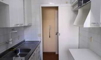 Imagem 4: Apartamento para Aluguel - Jardim Iris , 2 Quartos, 49 m2