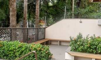 Imagem 3: Apartamento - Centro - Campinas