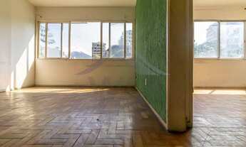 Imagem 6: Pinheiro Machado