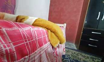 Imagem 7: Excelente Quarto em Curitiba direto com o proprietário 580 reais