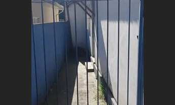 Imagem 2: Alugo casa 2 dormitórios Jd. Felicidade - Pirituba - W1732_13502