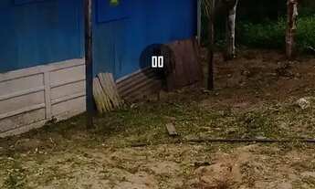 Imagem 2: CASA COM TERRENO GRANDE