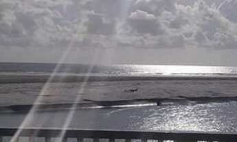 Imagem: Crispim - Aluga-se casa em crispim para