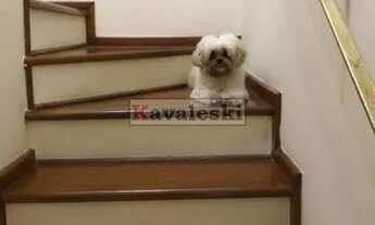 Imagem 3: Sobrado com 3 quartos, 175 m², à venda