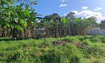Imagem 2: Terrenos COMERCIAIS de vários portes, em Manaus, Iranduba e Presidente Figueiredo