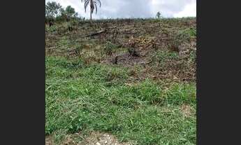 Imagem 6: Chácara de 5.000 m2