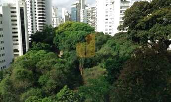 Imagem 2: APARTAMENTO CHARMOSO COM VISTA PARA PRAÇA ESTHER MESQUITA