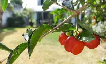 Imagem 3: Sobrado para venda com 324 metros quadrados com 4 quartos em Santa Genoveva - Goiânia - GO