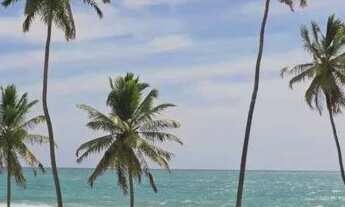 Imagem 7: Apartamento para venda com 556 metros quadrados com 2 quartos em Muro Alto - Ipojuca - PE