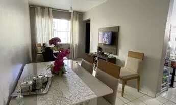 Imagem 7: Parque das Violetas !