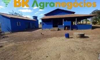 Imagem 3: Oportunidade: Fazenda de 38 Alqueires - Monte Santo - TO