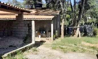 Imagem 4: Oportunidade chácara para renda ou clinicas