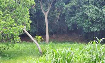 Imagem 4: Imóvel para venda com 1378 metros quadrados em Recreio Ipitanga - Lauro de Freitas