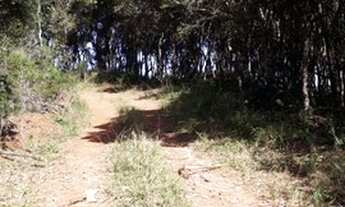 Imagem 2: Área na Colonia Campina em Campo Largo