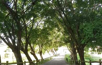 Imagem 4: Reserva dos lagos