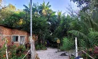 Imagem 3: Sítio Chácara com venda por R$150.000