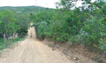 Imagem 6: Terrenos de 20.000 m² com Rio no fundo