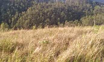 Imagem 3: Lote/Terreno para venda possui 1000 metros quadrados em Santa Inês - Mairiporã - SP