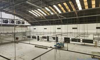 Imagem 4: GALPÃO - BOM RETIRO - SP