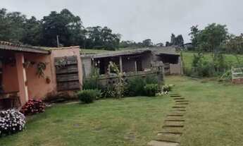 Imagem 7: SÍTIO - FEITAL - SP