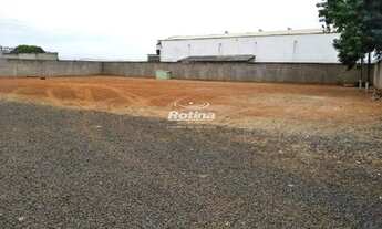 Imagem 4: Galpão para alugar, Custódio Pereira - Uberlândia/MG - Rotina Imobiliária