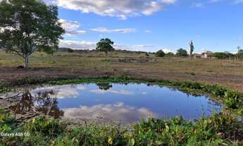 Imagem 2: Excelente área para sitio de 21. 5 t entre Anguera e Bonfim de Feira